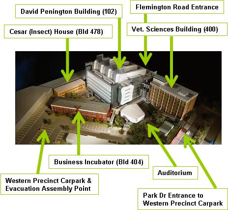 West Precinct Model sml